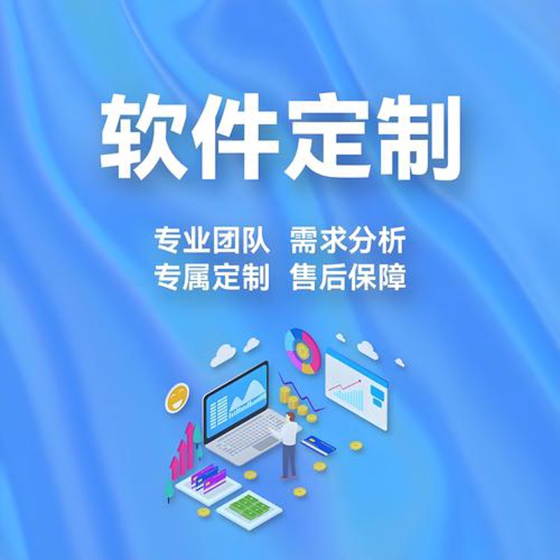 软件定制开发:推动企业信息化革新